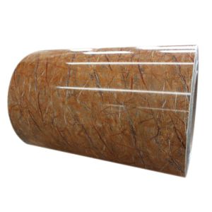 China Prepainted Galvanized Steel Coil PPGI / PPGL / HDGL / HDGI Roll Coil And Sheets on sale