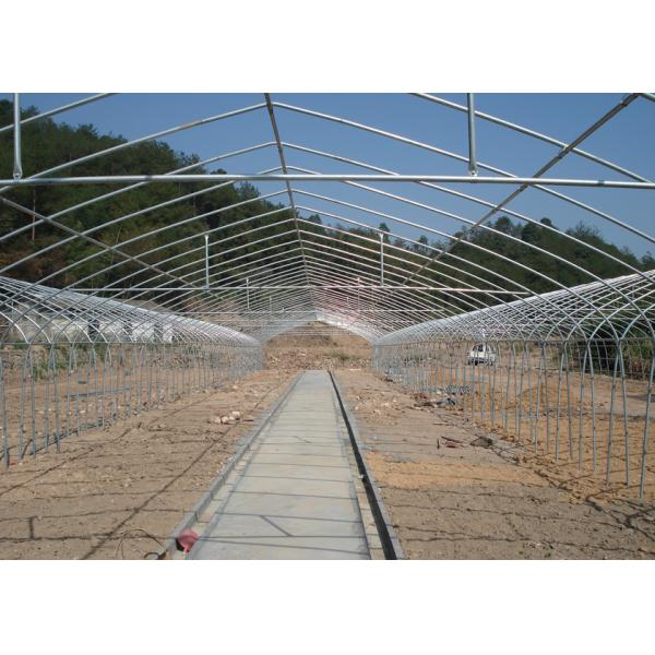 Buy Poly No Welding Hydroponic Greenhouse Systems With Hydroponics Growing System at wholesale prices