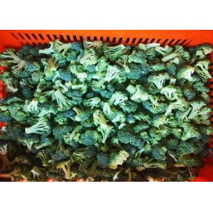 Crop IQF Frozen Broccoli And Frozen Vegetables Quick Frozen Foods