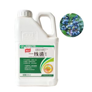 Soil Conditioner Organic Humic Fulvic Acid Powder High Concentration