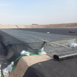 Quality Sale 0.5mm HDPE Geomembrane Sheet for Large Plastic Fish Ponds Farm Tank Width 2m-8m for sale