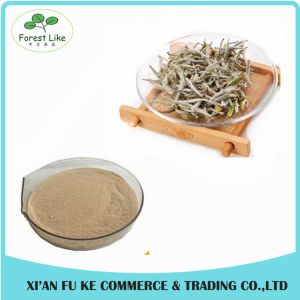 Health-care Product Instant Tea Powder Pure Natural White Tea Extract with