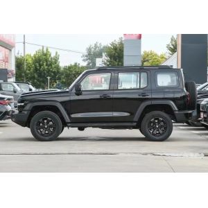 Month 8 Special Great Wall Motors Tank 300 Off Road Vehicle with Sturdy Metal