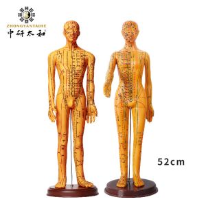 Acupuncture Needles Practice Model For Safe And Precise Training