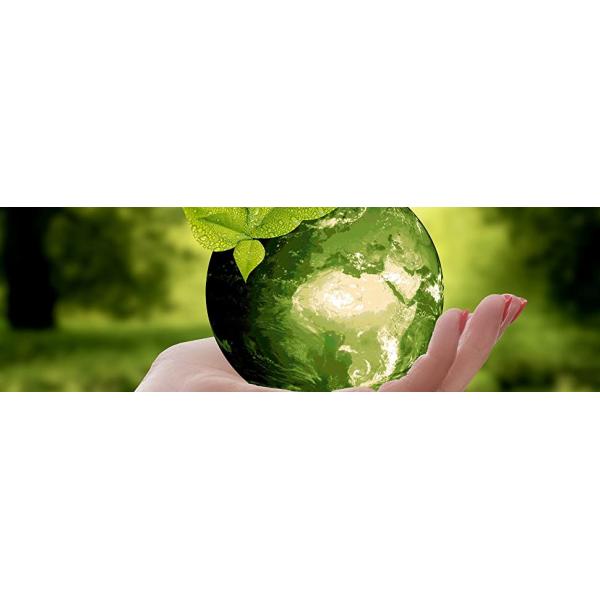 Biodegradable Trash Bags