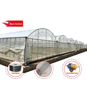 24x40m Galvanized Steel Greenhouse with 150micron PE Film