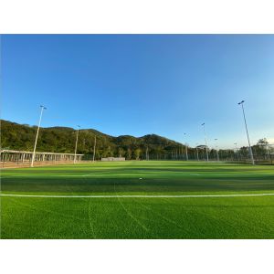 50mm Pile Height Artificial Football Pitch Disease Resistant Weaving Technique