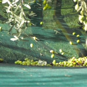 4X8m green hdpe mono Olive Net for harvest