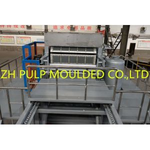 Recycling Fruit Tray Making Machine