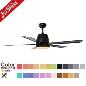 6 Speeds Remote Control Quiet DC Motor Decorative 5 Blades Ceiling Fan With
