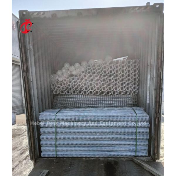 2.2m By 2.4m By 1.95m Layer Battery Cage System 4 Tier 160 Capacity Sandy