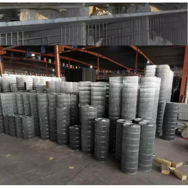 1/2 X 1/2 1/4 Inch Galvanized Welded Wire Mesh Fence Zinc Coating Electro Galvanized 10-15g/m2 Low Carbon Steel Wire Q195