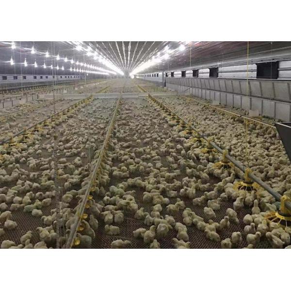 HI HOPE Chicken Farm Equipment 45cm Dia Pipe