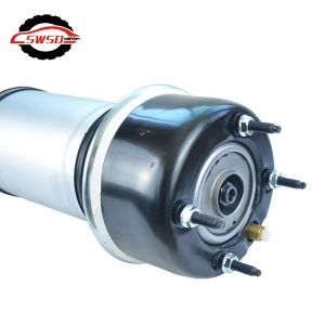 C2C41343 C2C41341 Rear Shock Absorber