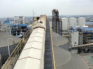 250mm 30t/H Heavy Duty Drag Inclined Chain Conveyor Belt Scraper Types