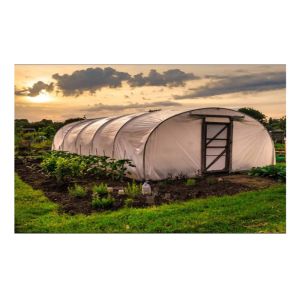 Strawberry Hydroponics Plastic Film Greenhouse , Polyethylene Film Greenhouse