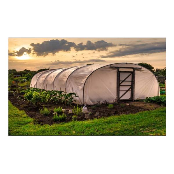 Buy Strawberry Hydroponics Plastic Film Greenhouse , Polyethylene Film Greenhouse at wholesale prices