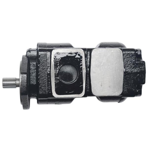 Buy JCB Gear Pump 20/925580 20/925579 20/925586 20/903300 333/G5390 20/925340 at wholesale prices