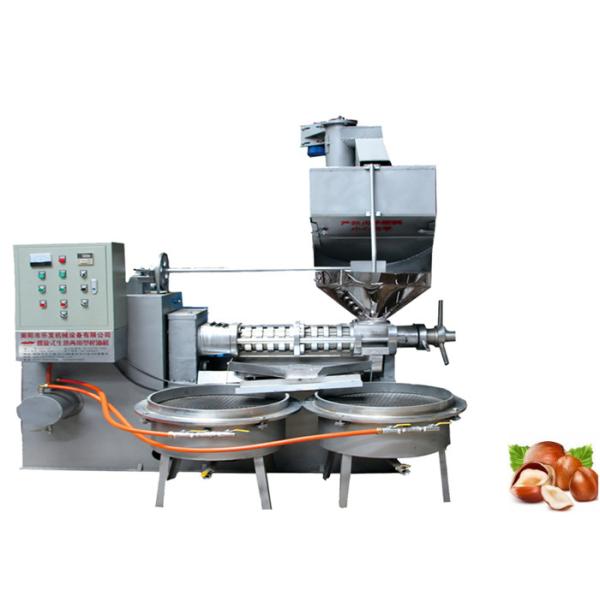 Buy 15 KW Spiral Industrial Oil Press Machine Coconut Peanut Oil Press Machine With Oil Filter System at wholesale prices
