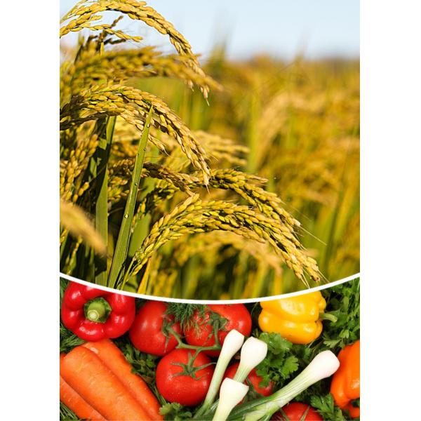 Organic Soil Conditioner Fertilizer For Plants And Crops