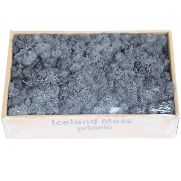 Soft Touch Preserved Moss Real Fresh Moss For Wall Decoration