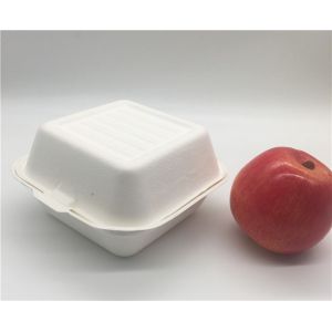 6" Biodegradable Takeout Containers