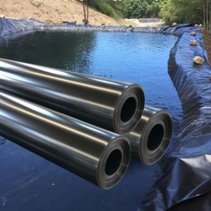 Double Smooth Surface HDPE Geomembrane Waterproof 2mm Plastic Pond Liner for