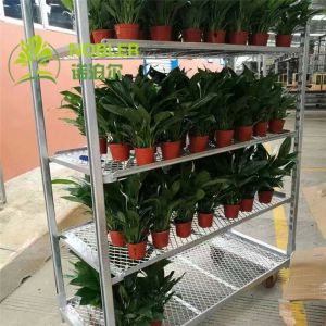 Hot Galvanized Dutch Flower Trolley Display Rack Flower Trolley Shelf