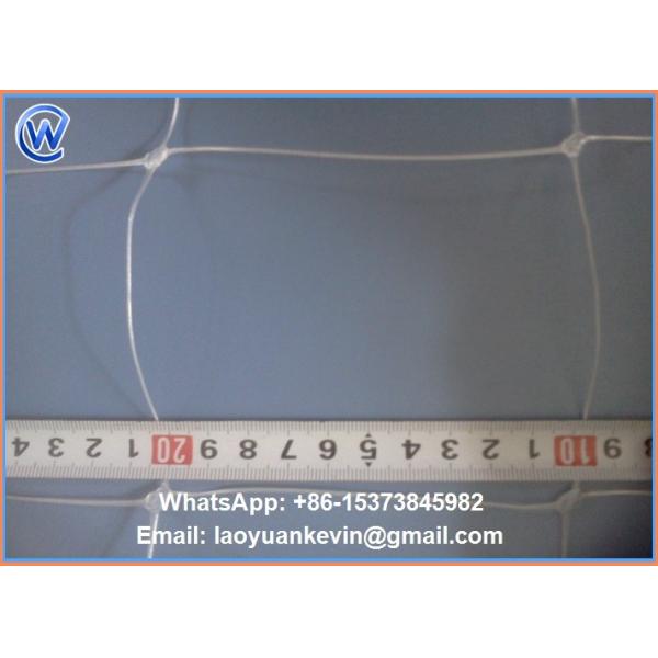 Hot Selling Hdpe With Uv 15x15cm Mesh Green Plant Support Net Plant Climbing Net