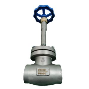 Cryogenic 304 316 PN65 DN50 Socket Weld Globe Valve