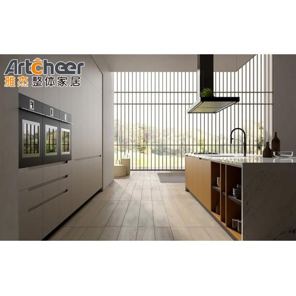 Modern Stylish Kitchen Cabinet with Plywood Carcase and Technology Mini Model Design