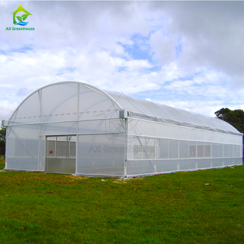 Cheap Agricultural Green House Commercial Greenhouse Intelligent Single-Span