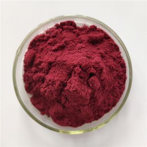 Buy High Quality Black Carrot Juice Powder For Pigment