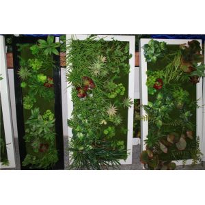 Artificial Plastic Grass Wall/Green Plant Wall
