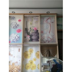 fashion day night zebra roller blind