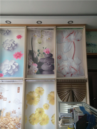 fashion day night zebra roller blind