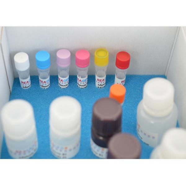 Buy Rapid Quantitative Vitamin Test Kit Vitamin B12 ELISA Test Kit For Research at wholesale prices