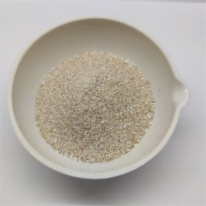 Ruminant Use Feed Probiotics Animal Nutrition Promoting Digestion