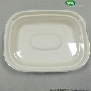 1100ml Biodegradable Natural Pulp Meal Box Eco-Friendly Container Trays With
