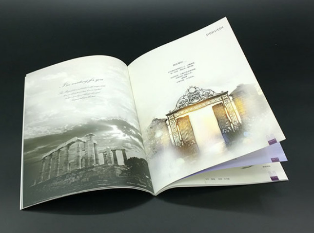 800G 1000G Instruction Booklet Printing Spiral Bound Planner Printing