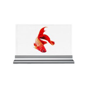 Quality HD Interactive Transparent OLED Display 30in Transparent Digital Signage for sale