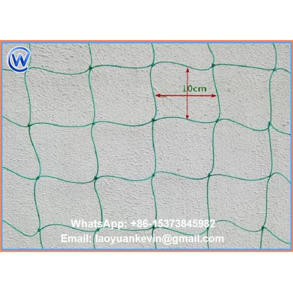 Hot Selling Hdpe With Uv 15x15cm Mesh Green Plant Support Net Plant Climbing Net