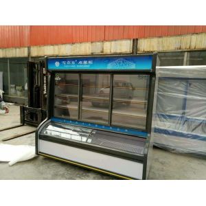 Fresh Vegetable Beverage Commercial Refrigerator Freezer Double Temperature