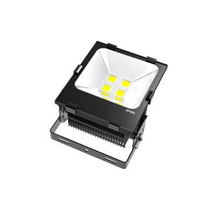 ASA housing Waterproof LED Flood Lights10watt - 200watt CE RoHS