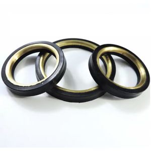 Metal Hydraulic Piston Seal Kit Valve Seal Kit OEM ODM