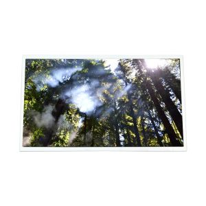 Quality G154JCE-L01 1920*1200 15.4 inch LCD Screen Panel FOR Automotive Display for sale