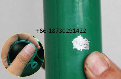 China ready stock 60x60 mm euro fence mesh Pvc coating made in china