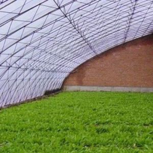 Shading and Ventilation Tomato Cultivation System for 40HQ Reefer Container