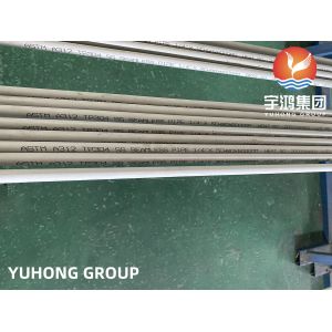 Austenitic Stainless Steel ASTM A312 TP304 1.4301 Seamless Pipe