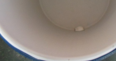 11Gallon 43L Outdoor Plastic Cooler Box Milk bucket Igloo water cooler 48H cooler